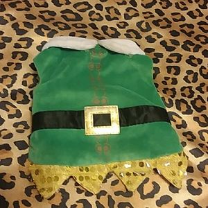 XXS  dog elf outfit